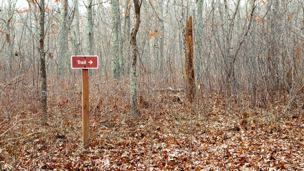 🧭 From Stone Markers to Smart Maps: The Story of Wayfinding Signs