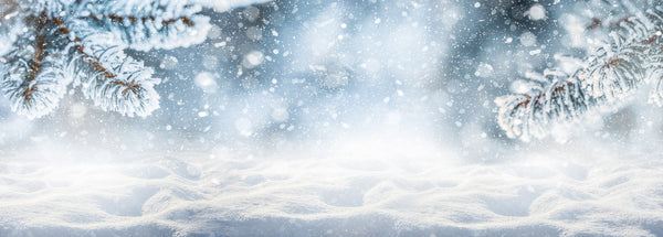 Winter Signage Survival Guide