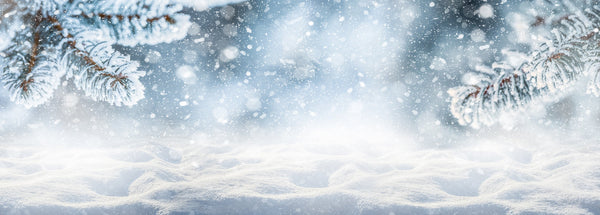 ❄️ Cold Hard Truths: How to Protect Your Signage This Winter